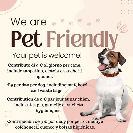 Miramonti Simple Turim